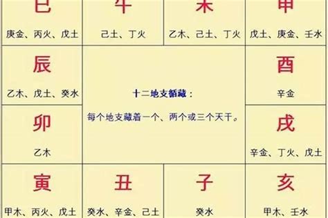 八字年柱代表